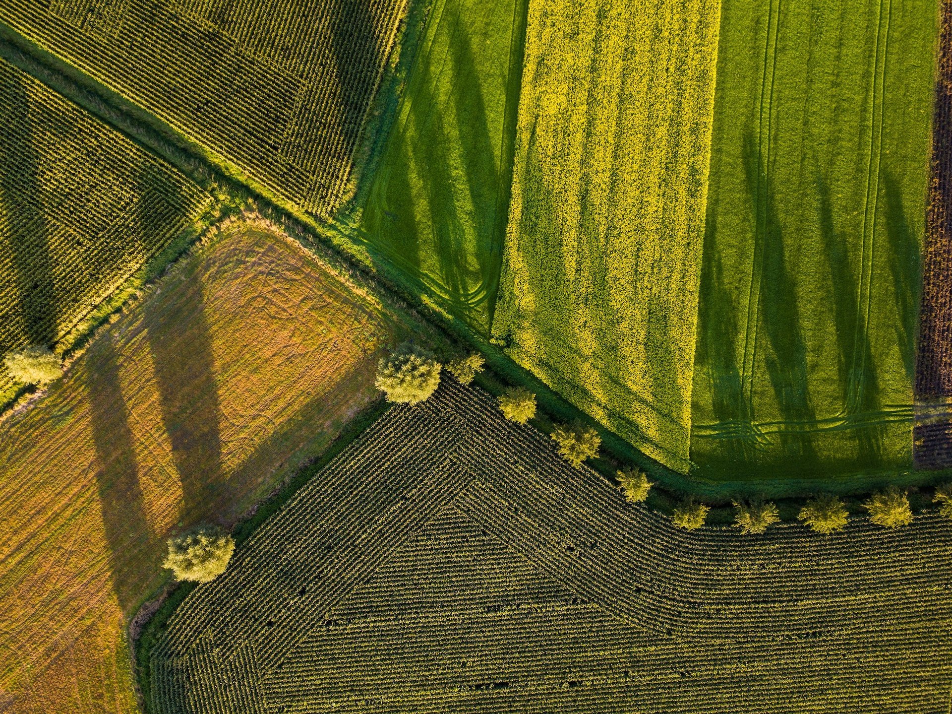 Depicts several farm fields next to each other, divided by a road. Used as a cover image for a post about AcreTrader vs FarmTogether.